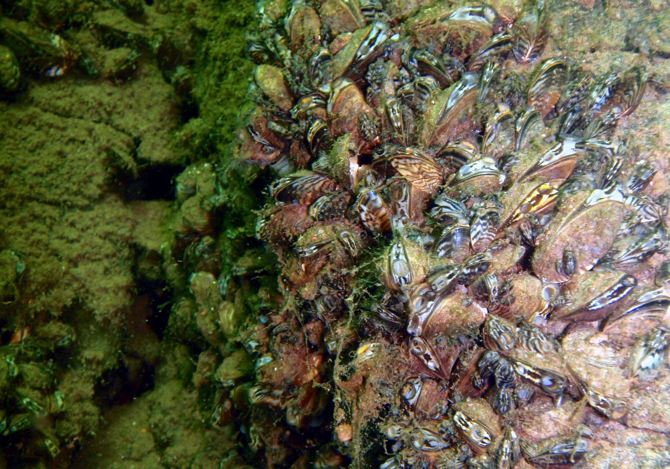 P9270025.JPG