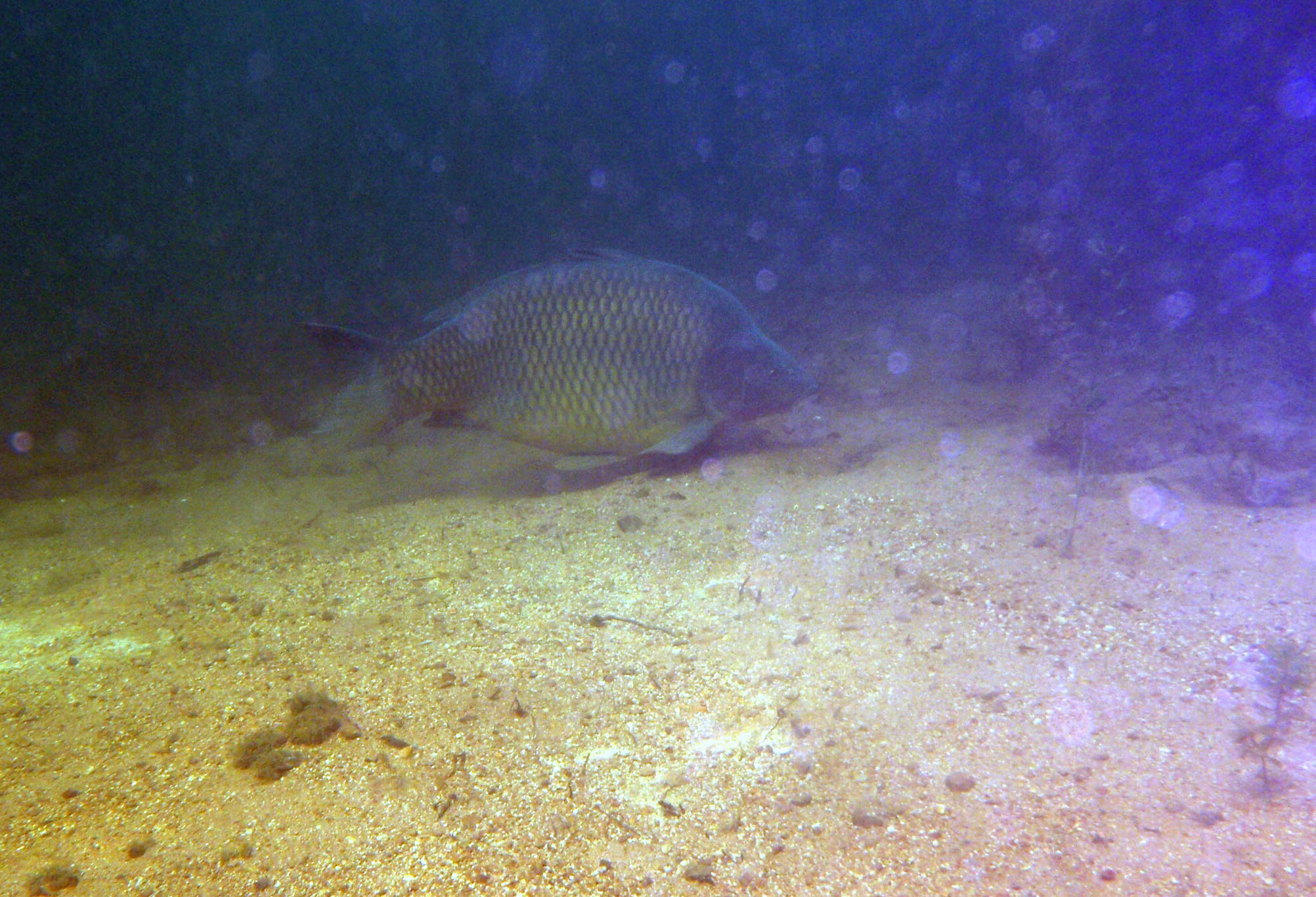 P9270036.JPG