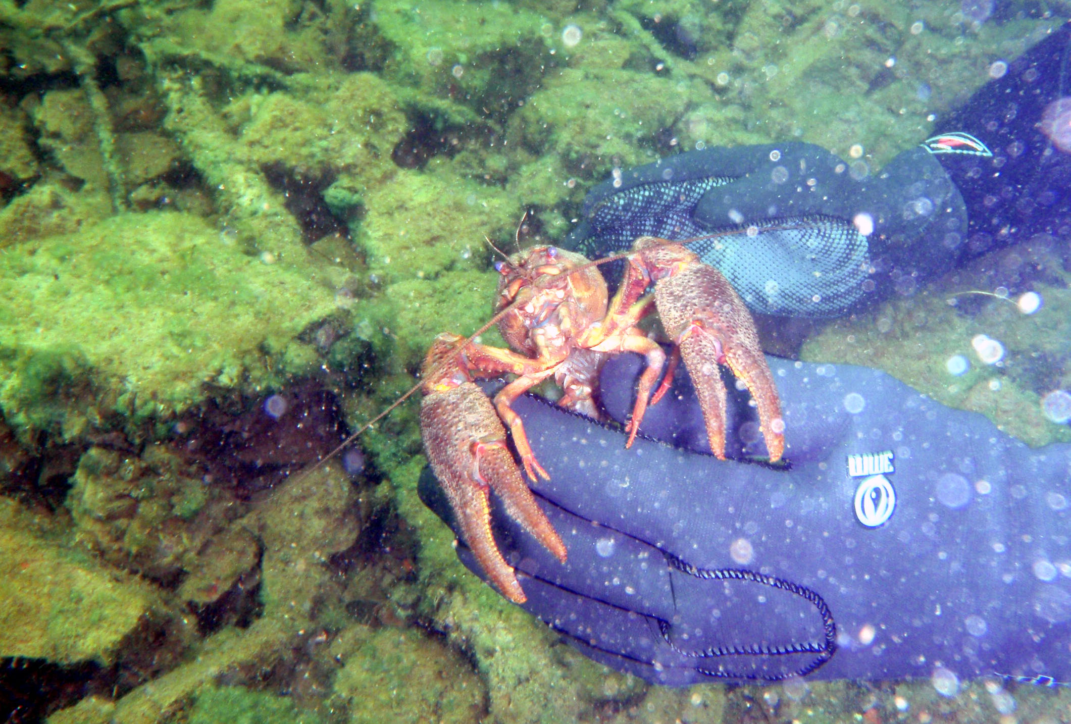 P9270049.JPG