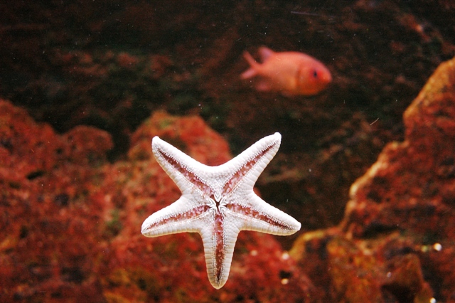 DSC_3516.JPG