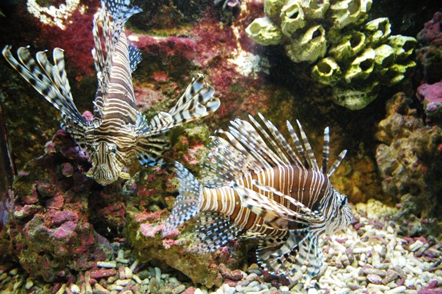 DSC_3594.JPG