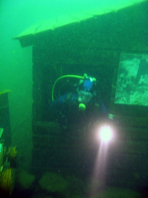 7033.JPG
