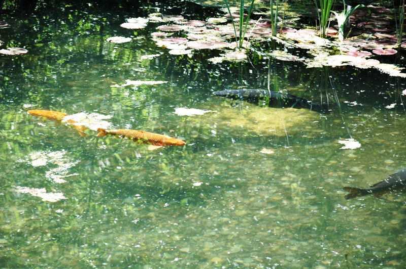 DSC_2251.JPG