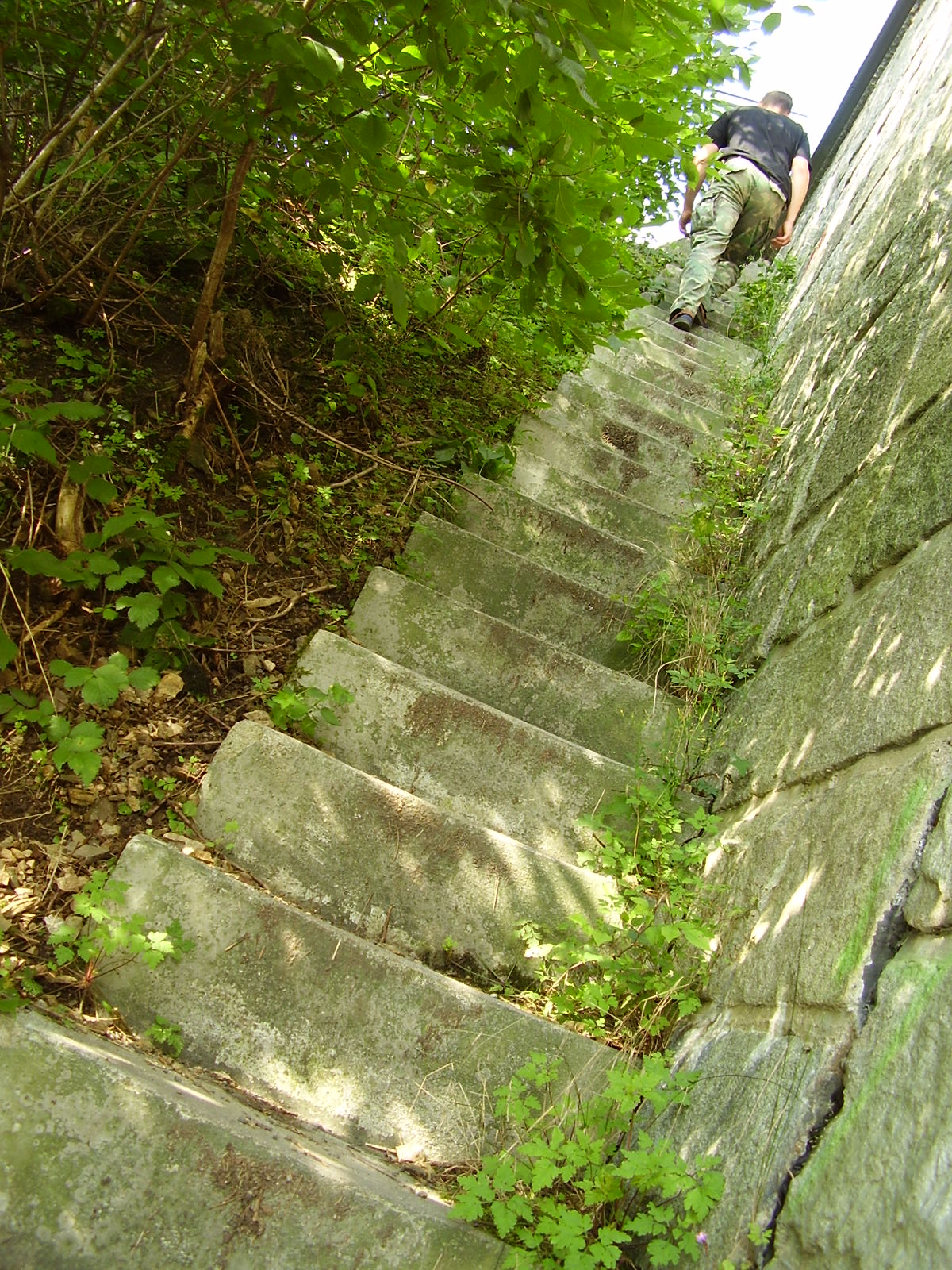 P5220086.JPG